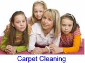carpet cleaning link