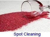 spot cleaning link